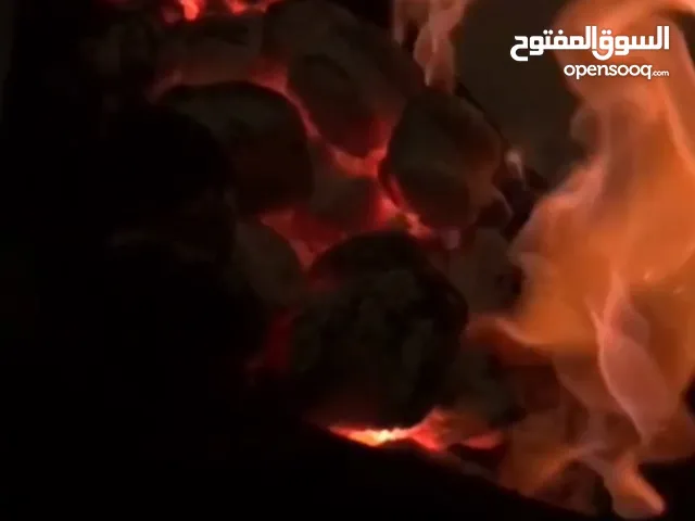 يوسف المالكي