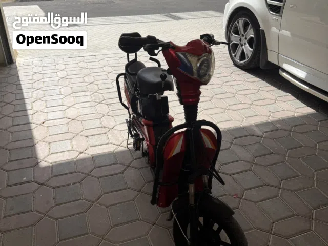 Ebike winner sky for sale ( urgent sale )