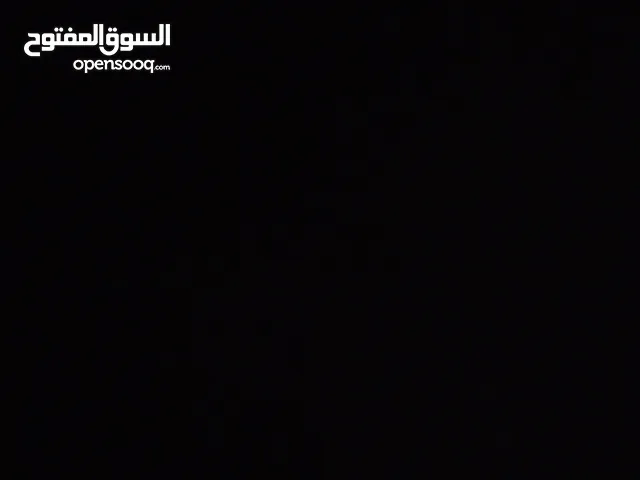 يوجد 6دجاجات مع ديك بلدي و19فرخ عمر3شهور وفقاسة64بيضه نخب اول