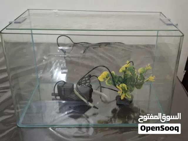 Fish Tank with filter