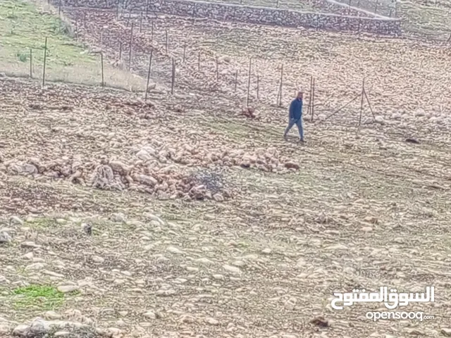 ارض في العقبات الشمالية
