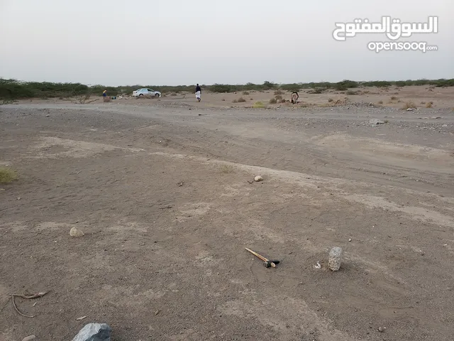 أرض للبيع شرق مدينة الحديده