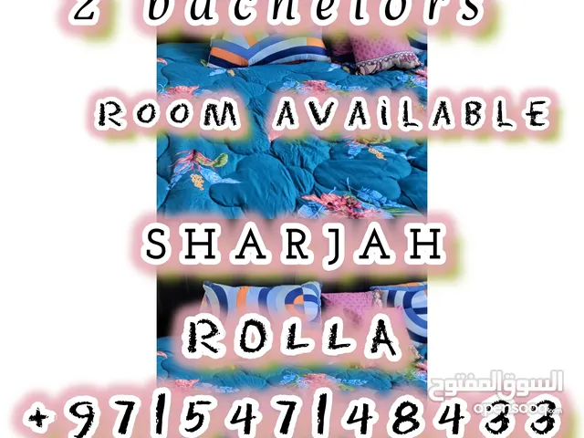 bachelor room Sharjah rolla