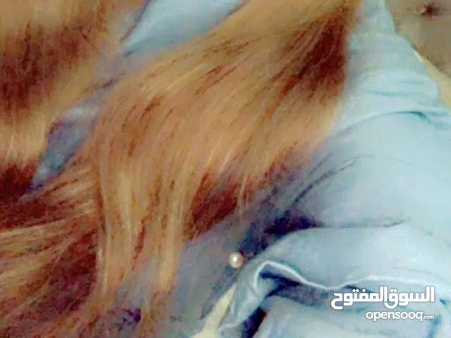 وصلة شعر طبيعيه ميه بالميه