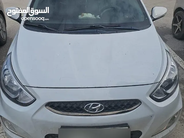 اكسنت 2019