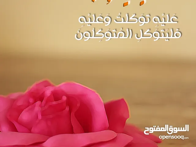 All options Others in Amman