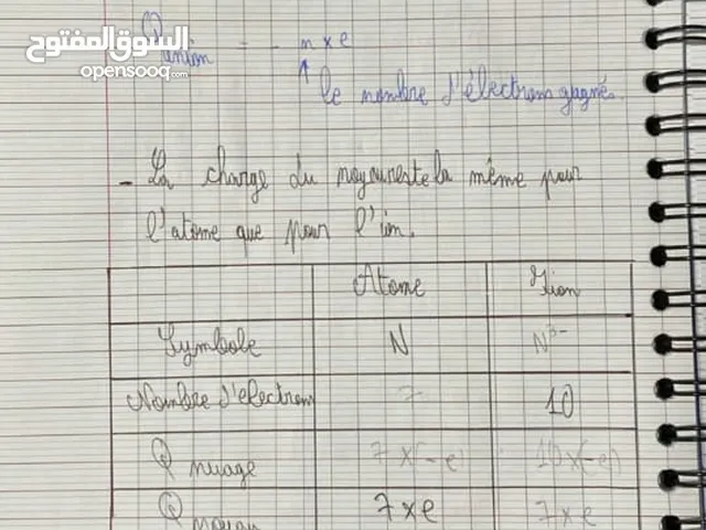 Math Teacher in Tunis