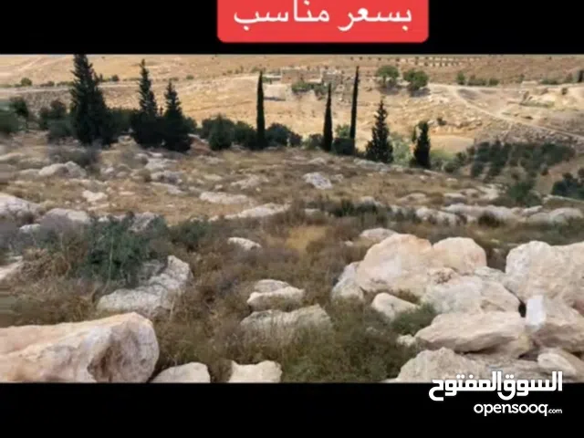 قطعة أرض مميزة للبيع في خلة العقد الفوقا دورا الخليل