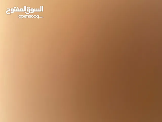Tamara Tamara