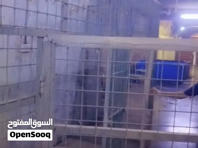 قفص حديد ثكيل مال حيوانات بي باب عدد 2