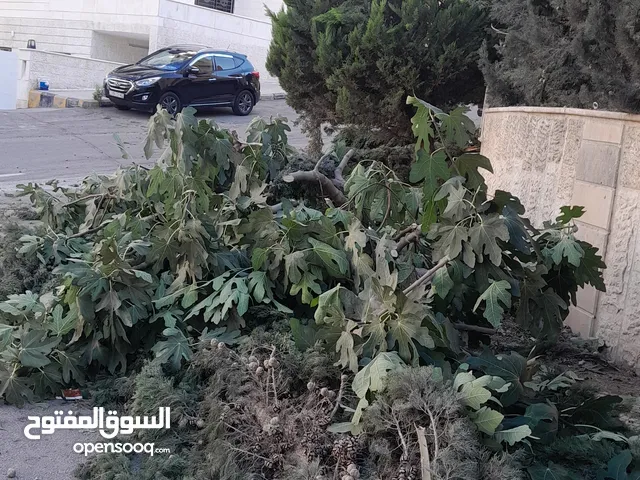 قص الاشجار وتقطيع الاشجار وتنسيق الحدائق وقص حطب النار