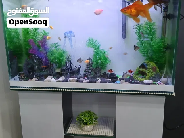 حوض سمك فخم للبيع