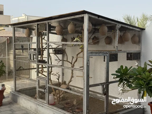 قفص كبير للبيع بدون الطيور
