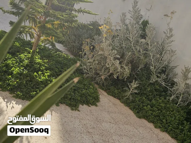 شقة للايجار الدور الثاني خلف اليرموك صلاح الدين طرابلس