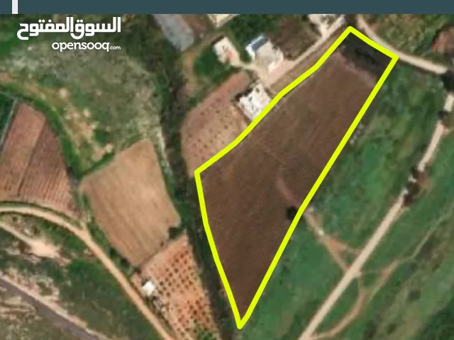Farm Land for Sale in Nablus Al Nassariya