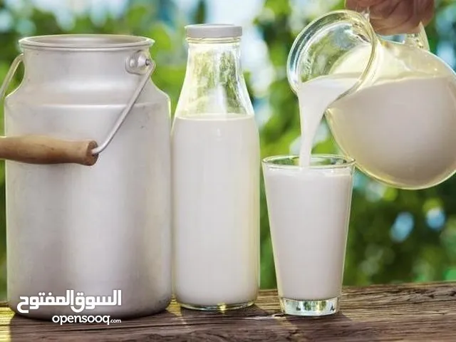 مصنع البان للبيع