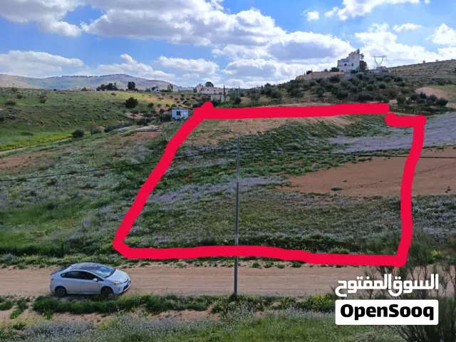 Mixed Use Land for Sale in Zarqa Birayn