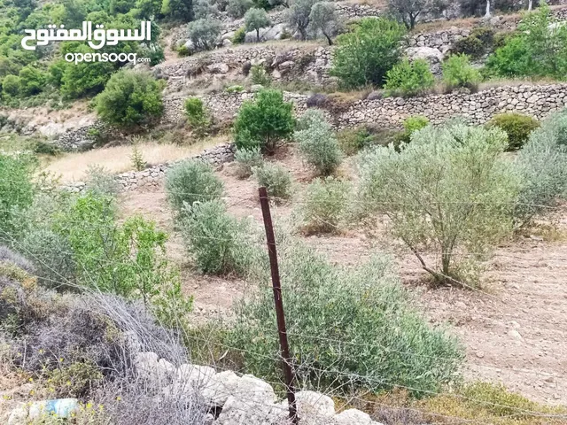 ارض زراعيه للبيع