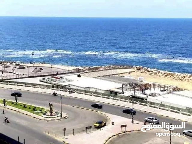 ميامي تاني عقار متفرع من البحر 110 متر كامله العدادات مرخصه بالعفش من المالك مباشره وكل الاجهزه.