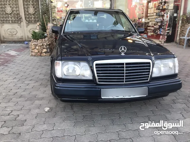 بطه بالكرتونة. 94