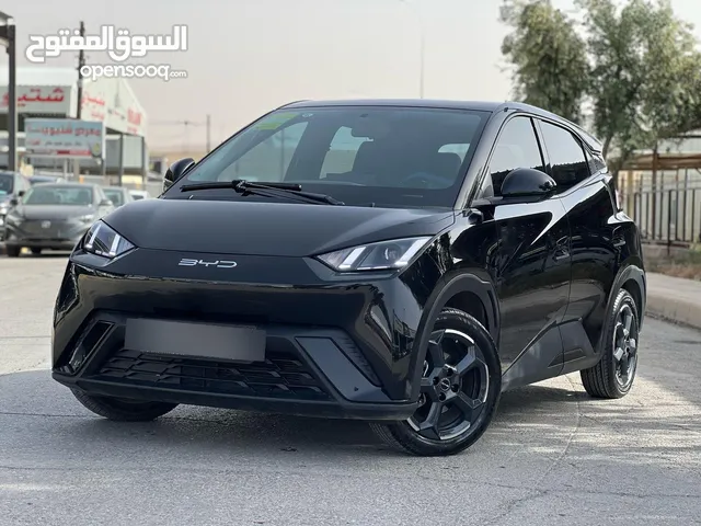 Used BYD Seagull in Zarqa