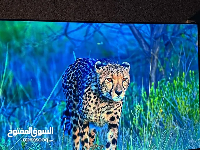 Xiaomi QLED 55 Inch TV in Al Khobar