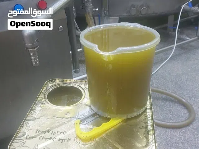 مزارع حكورتنا لانتاج زيت الزيتون.