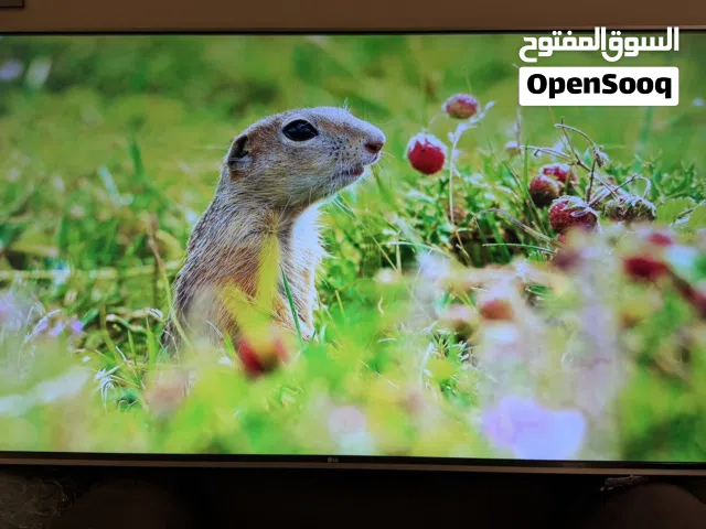 LG Smart 55 Inch TV in Al Batinah