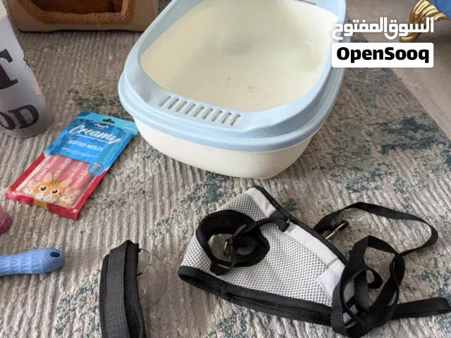 Cat used accessories for sale