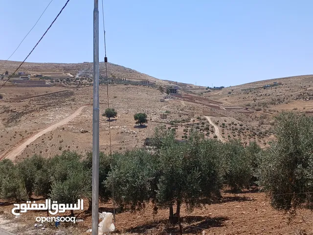 Farm Land for Sale in Zarqa Al-Alouk