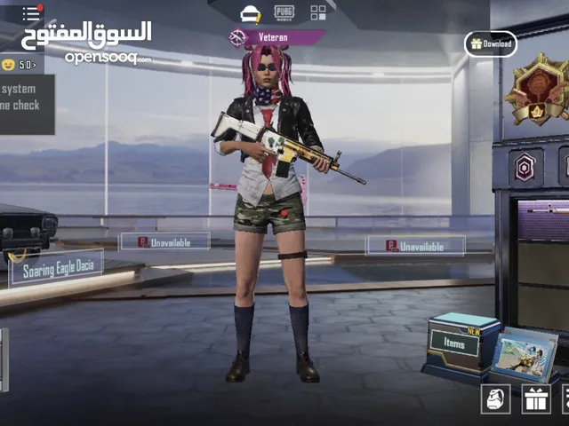 Pubg Accounts and Characters for Sale in Basra