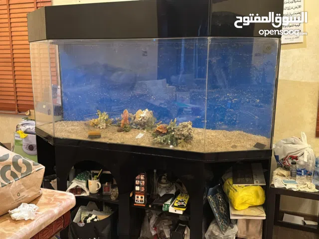 حوض سمك (اكواريوم) عالي الجودة ضد الكسر متر ونصف ×نصف متر ×90 الارتفاع بسعر خيالي