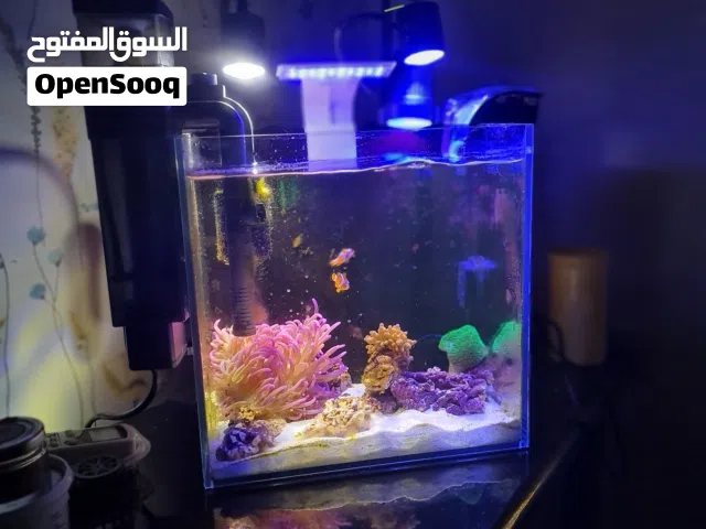 حوض نانو للبيع جميل جدا
