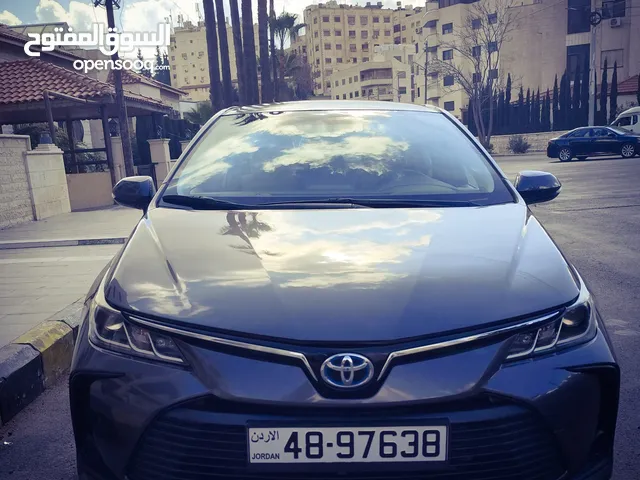 Used Toyota Corolla in Amman