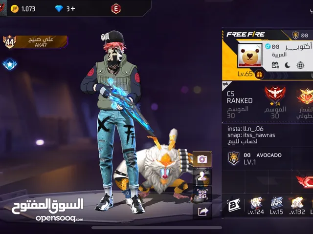 Free Fire Accounts and Characters for Sale in Irbid