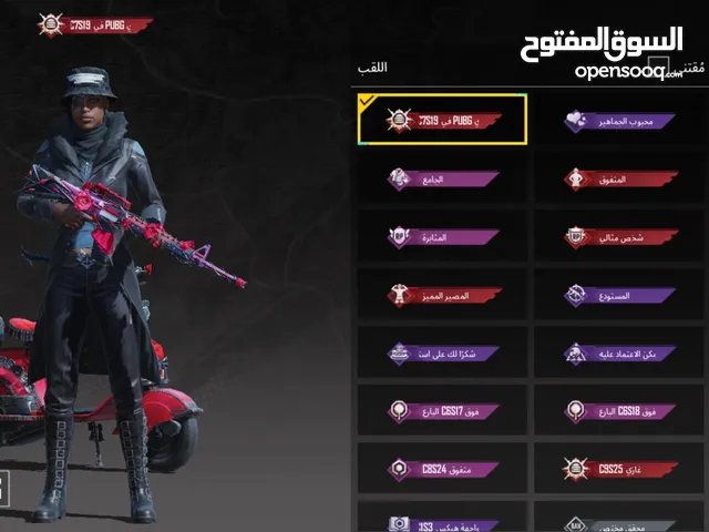 Pubg Accounts and Characters for Sale in Northern Governorate