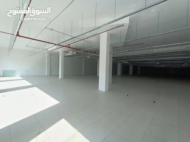فرص ممتازه للأستثمار على الشارع العام معرض تجارى مساحة 2500 متر Excellent trade show for rent
