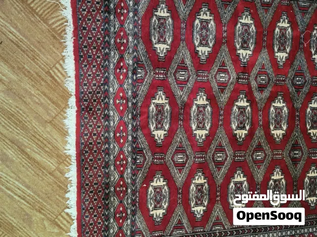 سجاد عجمي مصور