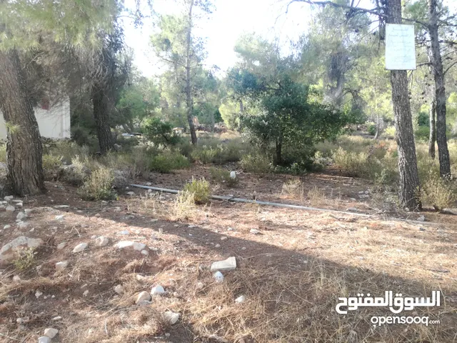 Residential Land for Sale in Jerash Debbin