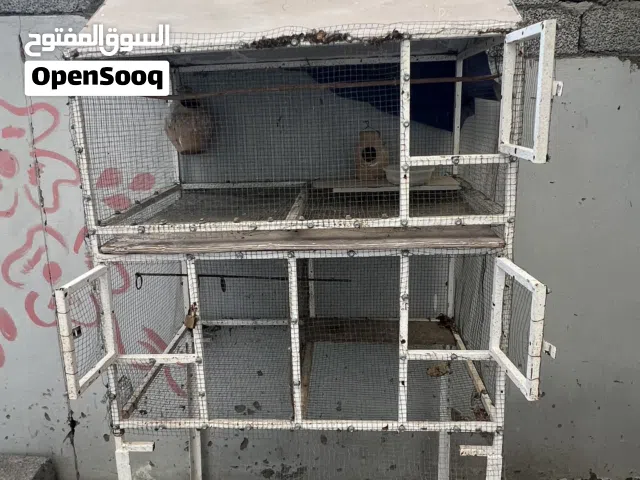 للبيع قفص امور طيبه