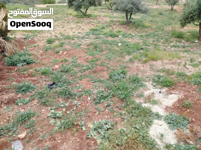 Residential Land for Sale in Salt Al Balqa'