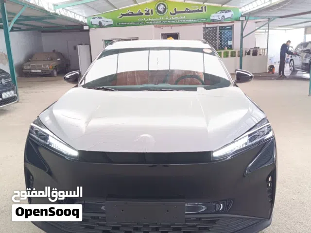 2026 دونج فينج اخرى