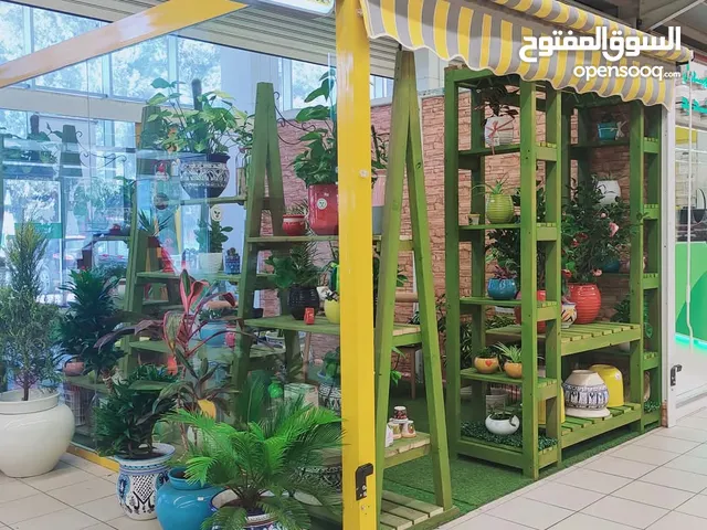 محتويات محل للبيع النباتات الطبيعة