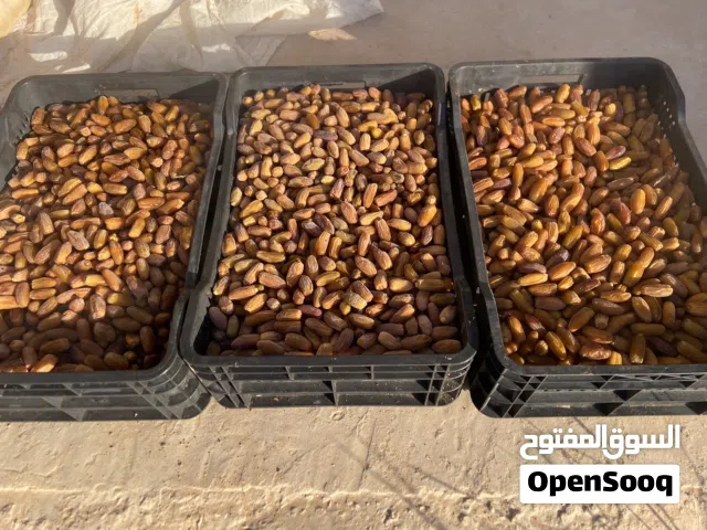 تمور دقلة ودان