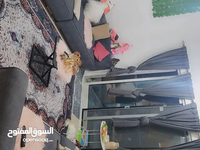 5500 ft 2 Bedrooms Apartments for Rent in Ajman Al Naemiyah