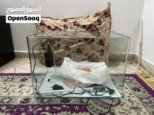 حوض اسماك.