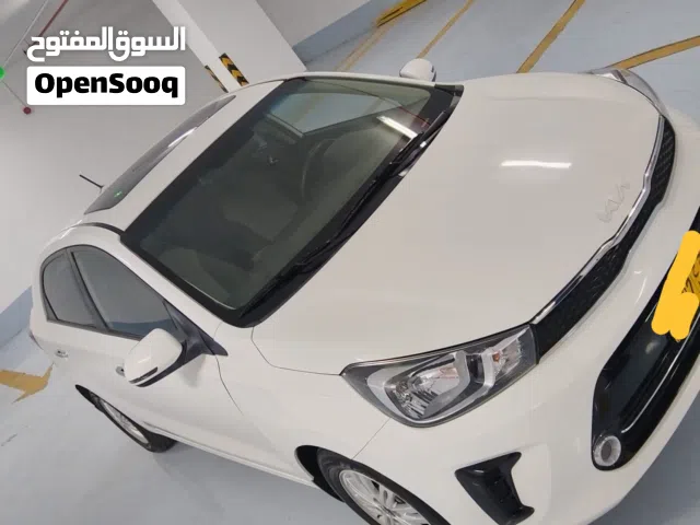2024 كيا بيجاس Standard