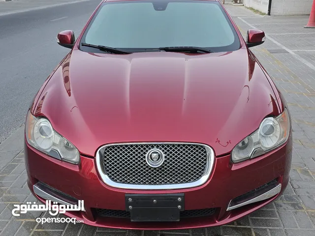 JAGUAR XF IMPORT