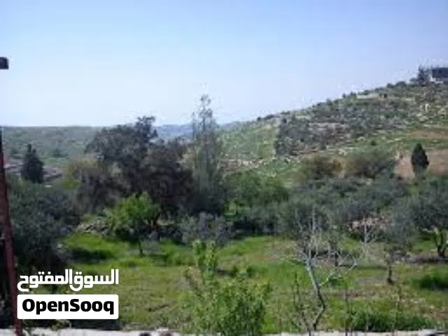 Residential Land for Sale in Amman Um Uthaiena