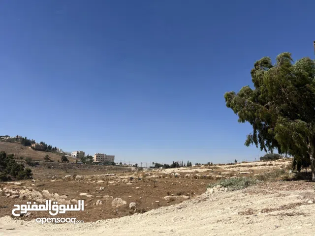 Residential Land for Sale in Salt Al Saro
